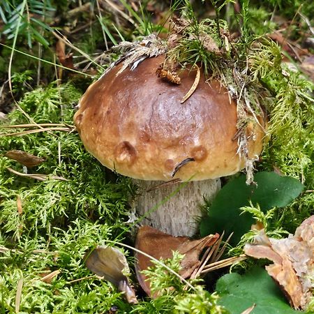 Appartamento La Bourzede Langeac Esterno foto
