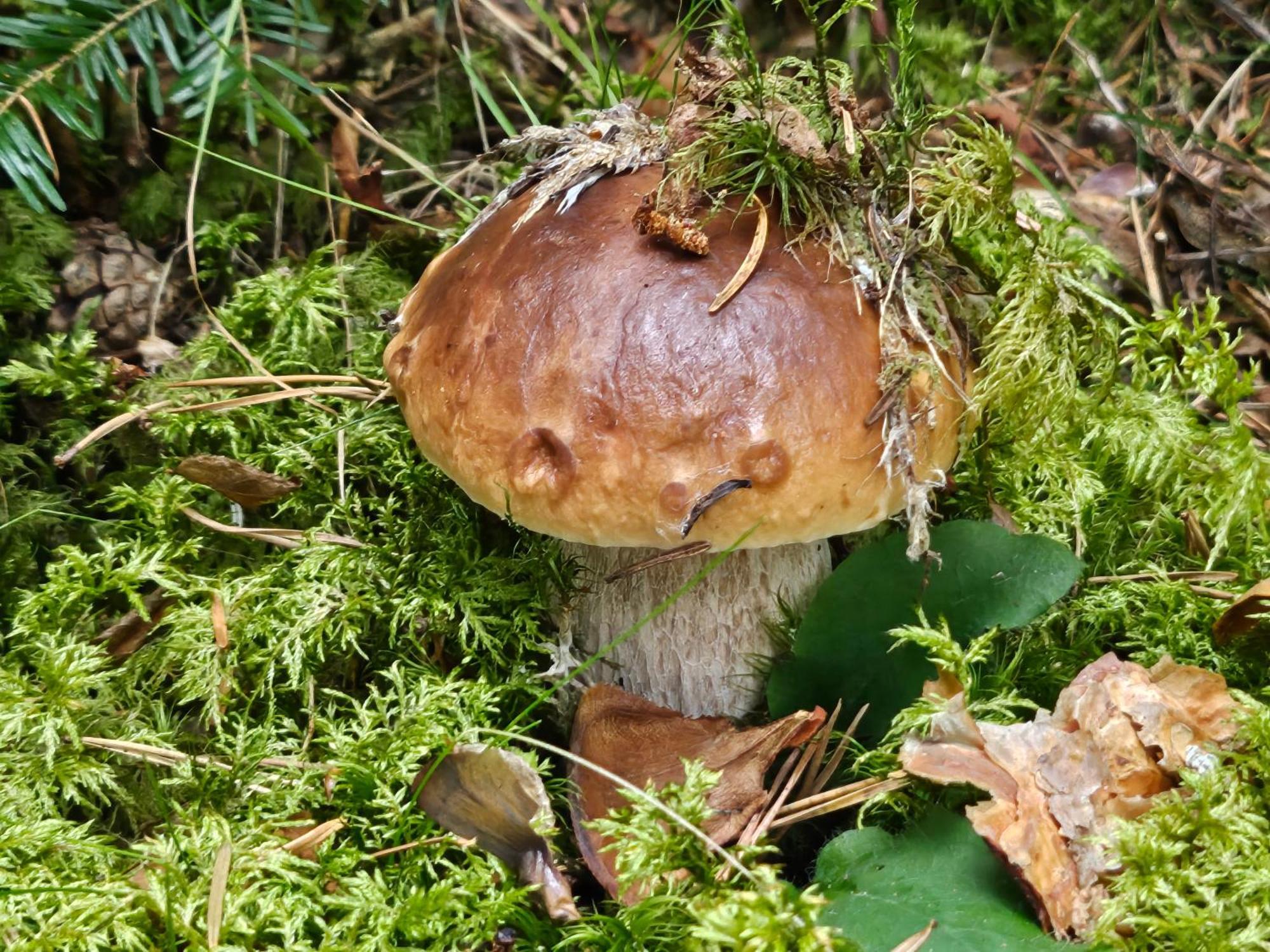 Appartamento La Bourzede Langeac Esterno foto